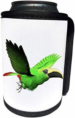 3dRose Boehm Grafik Kuş - Zümrüt Toucanet Kuş-Can Soğutucu Şişe Sarma (cc_357651_1)